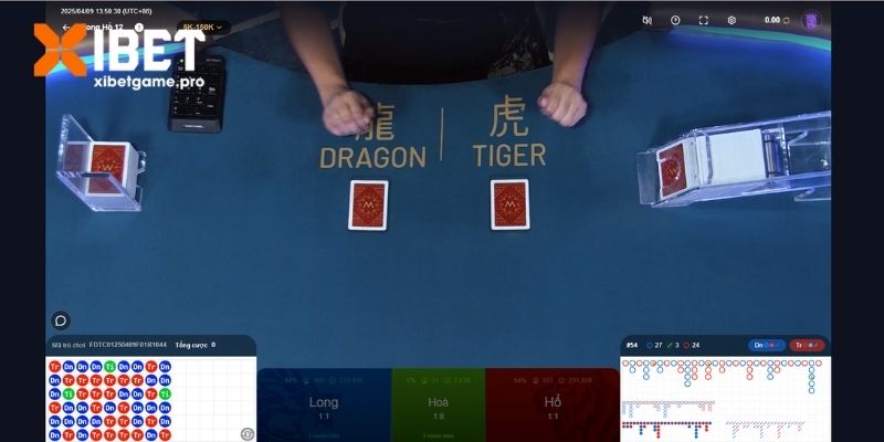 Cách chơi và lưu ý quan trọng không nên bỏ qua khi chơi Rồng Hổ