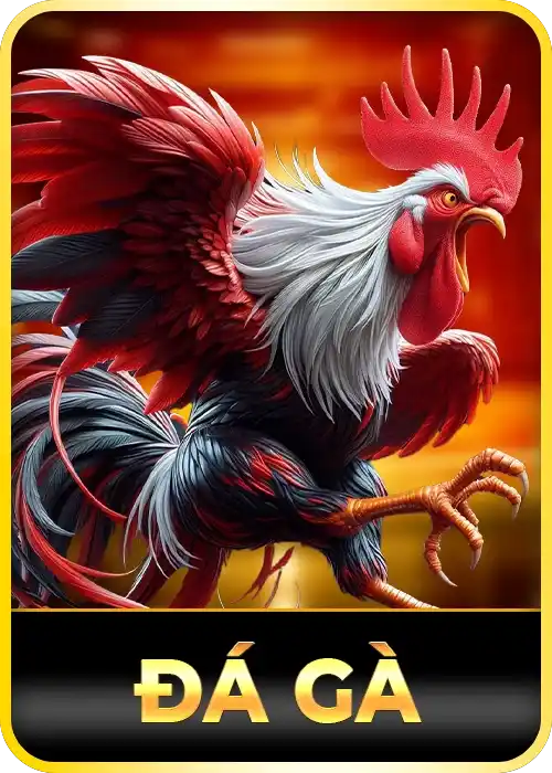Đá gà