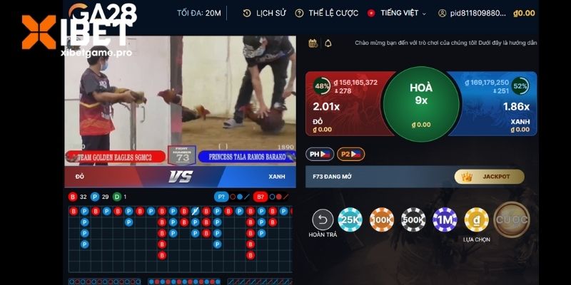 Điểm cộng lớn thu hút các sư kê tham gia cá độ 