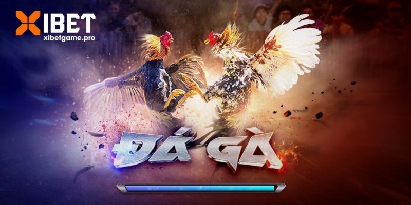 Hiểu về đá gà cựa sắt